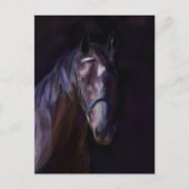 Dunkles Pferd Postkarte (Vorderseite)
