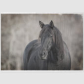 Dunkles Pferd Seidenpapier (Vorderseite)