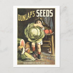 Dunlap's Vintage-Gemüse-Samen-Werbung Postkarte