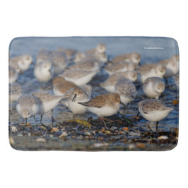 Dunlins und Sanderlings am Strand Badematte