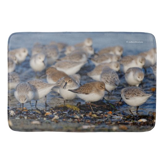 Dunlins und Sanderlings am Strand Badematte (Vorderseite)