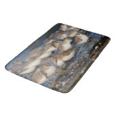 Dunlins und Sanderlings am Strand Badematte (Schrägansicht)