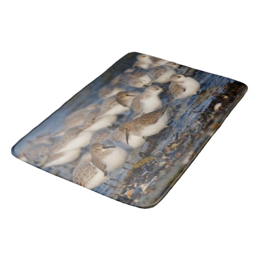 Dunlins und Sanderlings am Strand Badematte (Schrägansicht)