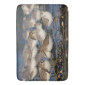 Dunlins und Sanderlings am Strand Badematte (Vorderseite Vertikal)