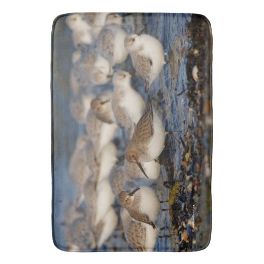 Dunlins und Sanderlings am Strand Badematte (Vorderseite Vertikal)