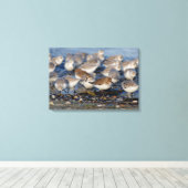 Dunlins und Sanderlings am Strand Leinwanddruck (Insitu (Holzboden))