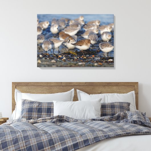 Dunlins und Sanderlings am Strand Leinwanddruck (Insitu (Schlafzimmer))