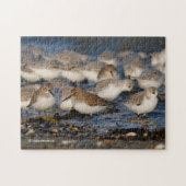 Dunlins und Sanderlings am Strand Puzzle (Horizontal)