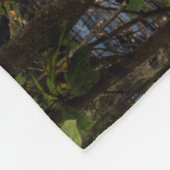 Dunloup Creek Falls | West Virginia Fleecedecke (Ecke)