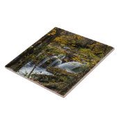 Dunloup Creek Falls | West Virginia Fliese (Seite)