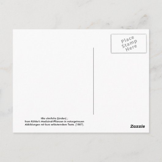 Dünnblättrig Postkarte (Rückseite)