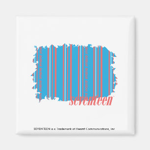 Dünne Streifen Aqua 4 Magnet