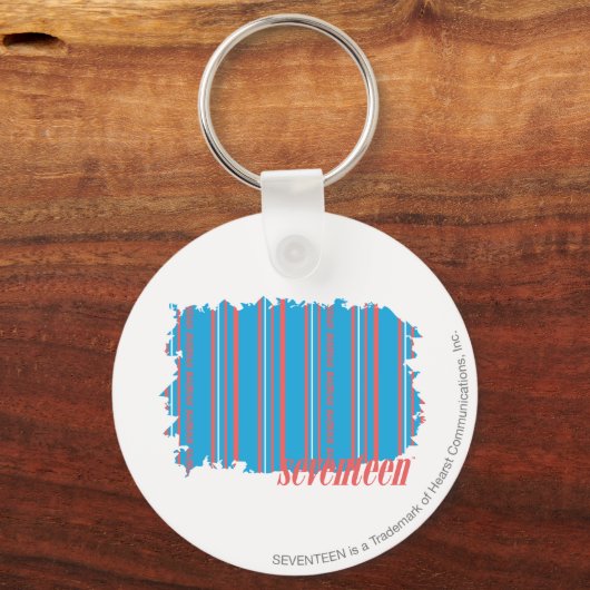 Dünne Streifen Aqua 4 Schlüsselanhänger (Vorderseite)