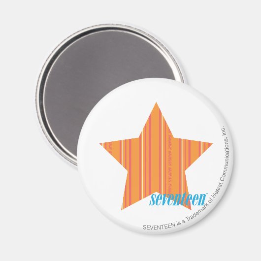 Dünne Streifen Orange 4 Magnet (Vorderseite/Rückseite)