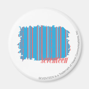 Dünnes Streifen-Aqua 4 Magnet