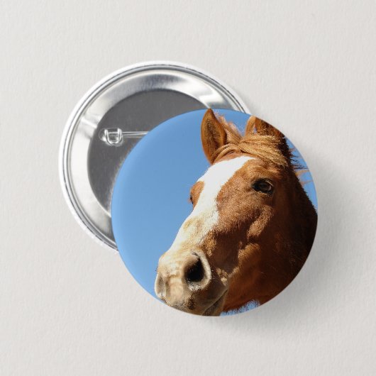 Dunnit Button (Vorne & Hinten)