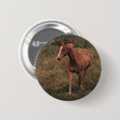 Dunnit Button (Vorne & Hinten)