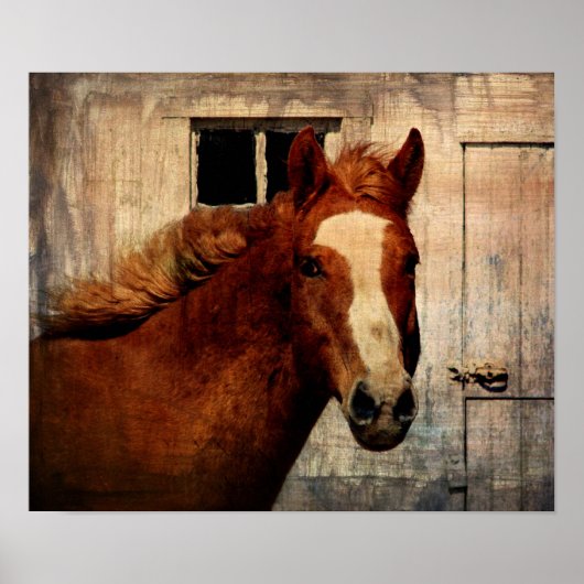 Dunnit Poster (Vorne)