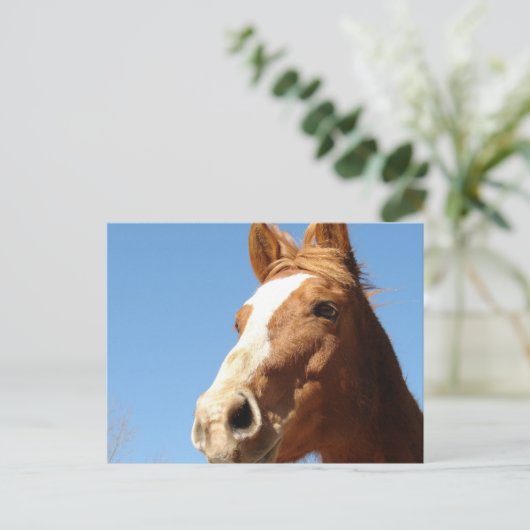 Dunnit Postkarte (Stehend Vorderseite)