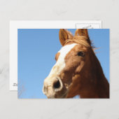 Dunnit Postkarte (Vorne/Hinten)