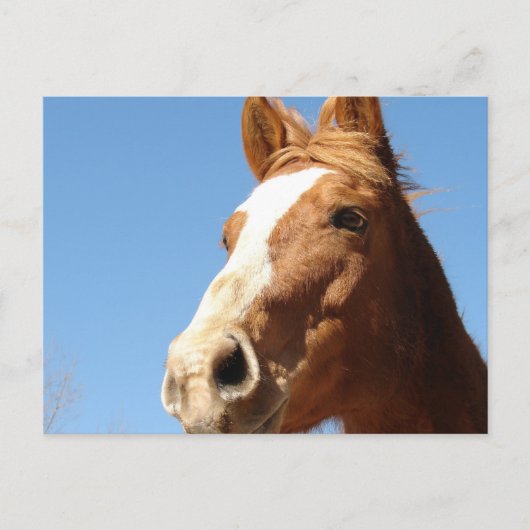 Dunnit Postkarte (Vorderseite)