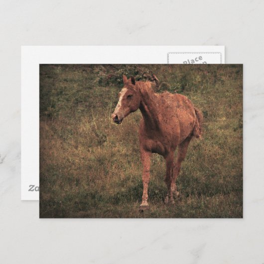 Dunnit Postkarte (Vorne/Hinten)