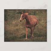 Dunnit Postkarte (Vorderseite)