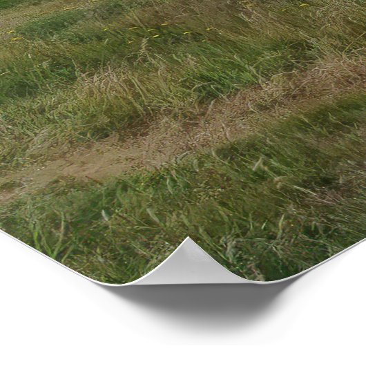 Dunnottar Castle Poster (Ecke)