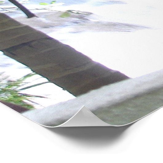 Dunn's River Falls Poster (Ecke)