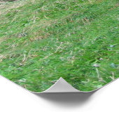 Dunollie Castle Oban Bay, Schottland Poster (Ecke)