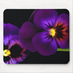 Duo des lila Stiefmütterchens, Washington-Staat Mousepad