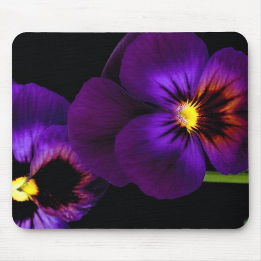 Duo des lila Stiefmütterchens, Washington-Staat Mousepad (Vorne)