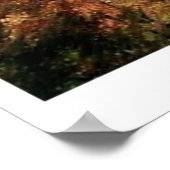 Duo Foliage in Maine Poster (Ecke)