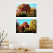 Duo Foliage in Maine Poster (Küche)