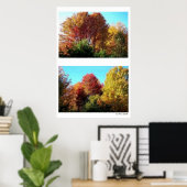 Duo Foliage in Maine Poster (Heimbüro)