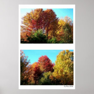 Duo Foliage in Maine Poster