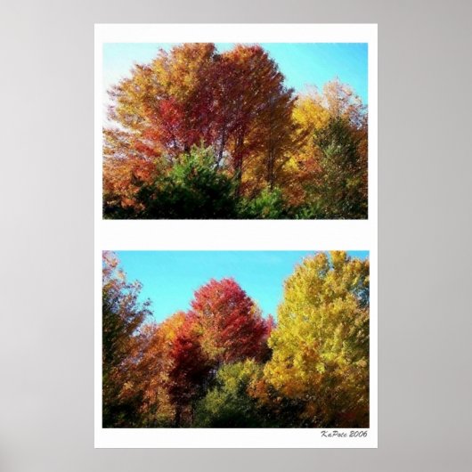 Duo Foliage in Maine Poster (Vorne)