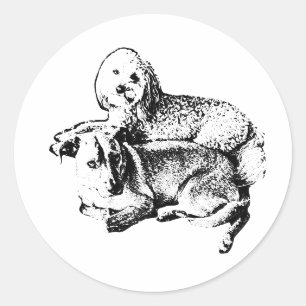 „Duo Lay“-Sticker – Stille Momente zwischen Freund Runder Aufkleber