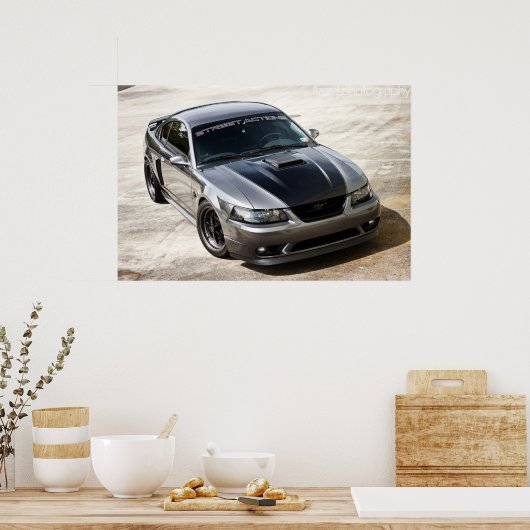 Dupinder Mach 1 Poster (Küche)