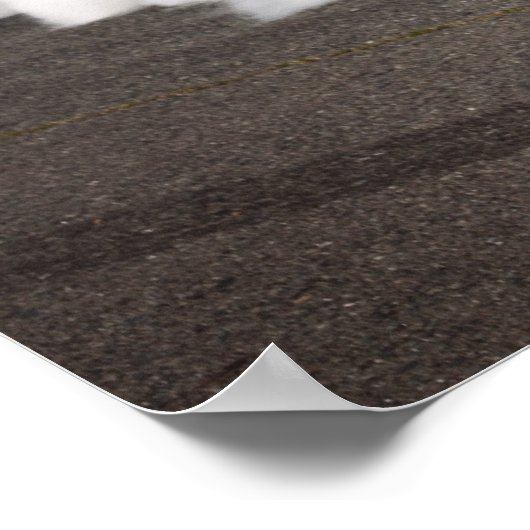 Dupindermach1 Poster (Ecke)