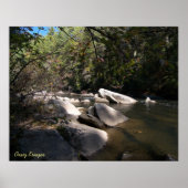 Dupont River in NC Poster (Vorne)