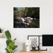 Dupont River in NC Poster (Heimbüro)