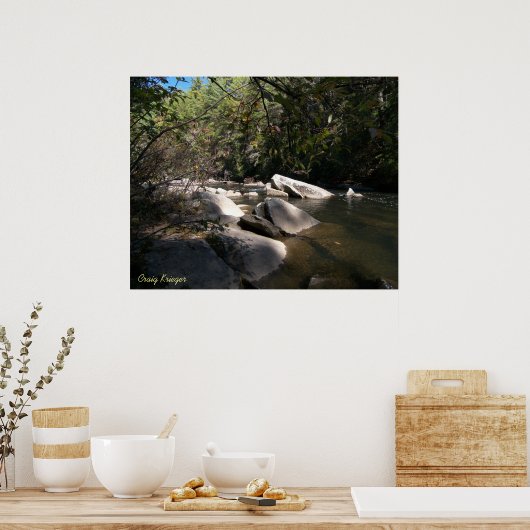 Dupont River in NC Poster (Küche)