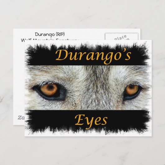 Durango Eye (RIP) Postkarte (Vorne/Hinten)