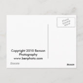 Durango & Silverton Dampfzug Postkarte (Rückseite)