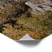 Durango und Silverton Railroad, Nr. 481, Bärenkreb Poster (Ecke)