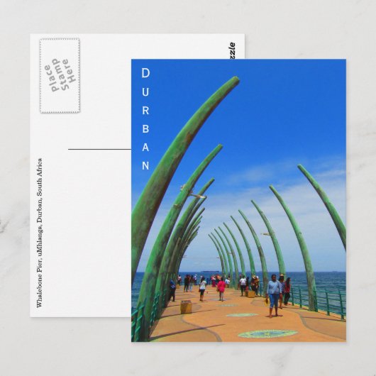 Durban whalebone pie postkarte (Vorne/Hinten)