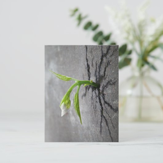 durch Beton Postkarte (Stehend Vorderseite)