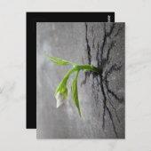 durch Beton Postkarte (Vorne/Hinten)