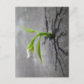 durch Beton Postkarte (Vorderseite)